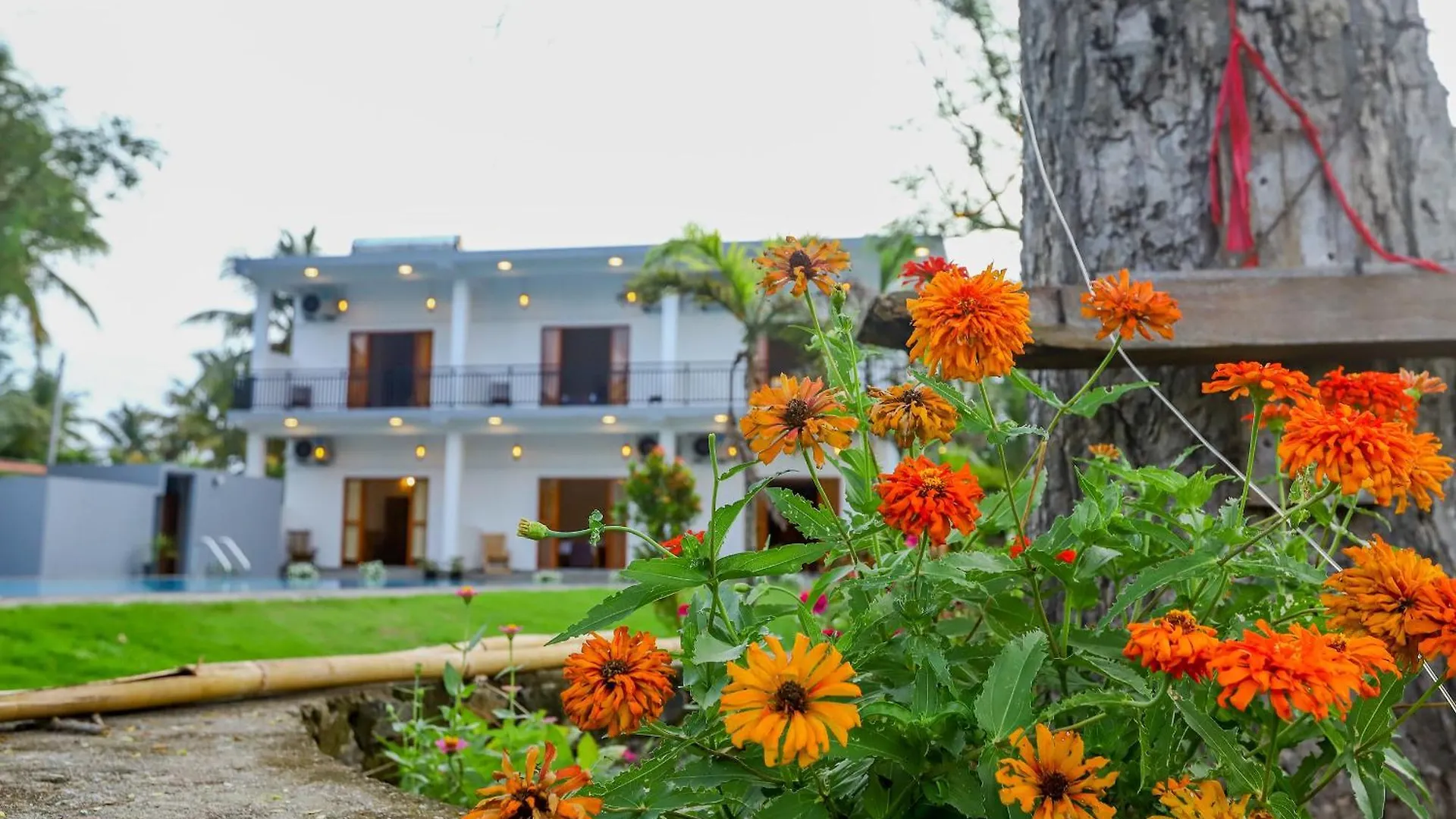 Lagoon House Negombo